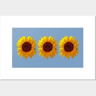 Three Sunflowers for Mothers Day Posters and Art
